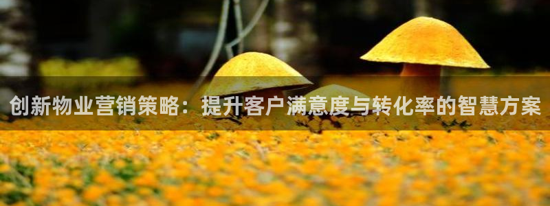 必赢棋盘官网版：创新物业营销策